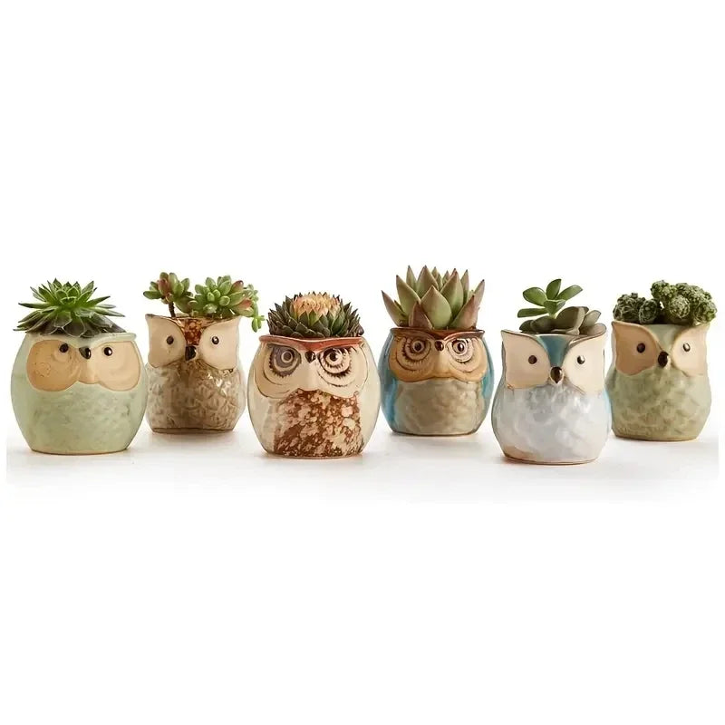6pcs Owl succulent plant pot cartoon thumb pot stoneware breathable pot small pot control pot home decoration