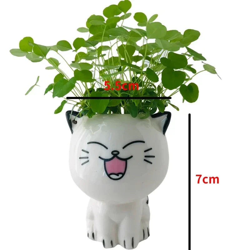 1pc Ceramic Flowerpot Mini Cat Cartoon Cute Plant Desktop Potted Plant Pot DIY Decorate Toys Science Education School Gifts