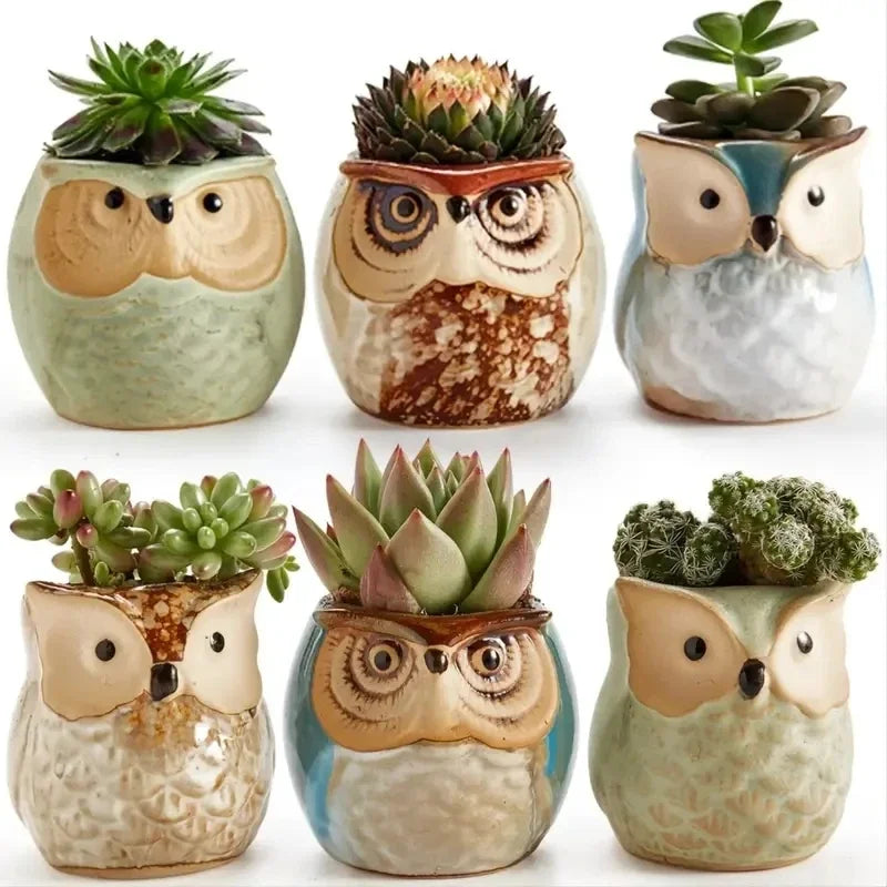 6pcs Owl succulent plant pot cartoon thumb pot stoneware breathable pot small pot control pot home decoration