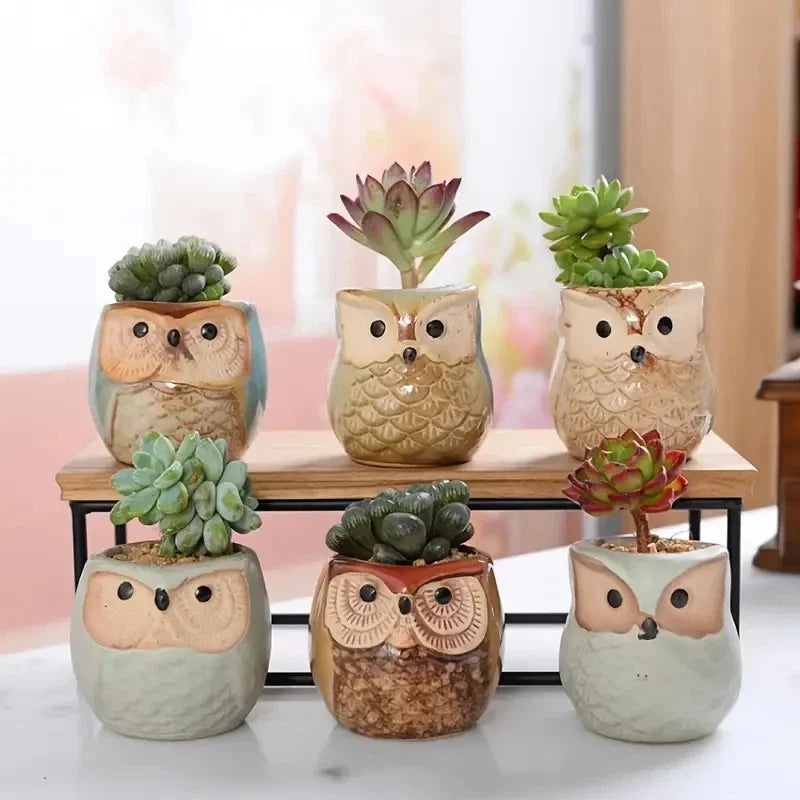 6pcs Owl succulent plant pot cartoon thumb pot stoneware breathable pot small pot control pot home decoration