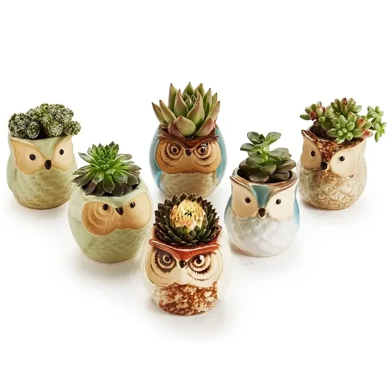 6pcs Owl succulent plant pot cartoon thumb pot stoneware breathable pot small pot control pot home decoration
