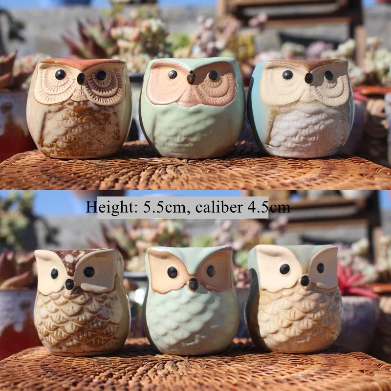 6pcs Owl succulent plant pot cartoon thumb pot stoneware breathable pot small pot control pot home decoration