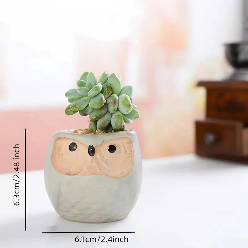 6pcs Owl succulent plant pot cartoon thumb pot stoneware breathable pot small pot control pot home decoration